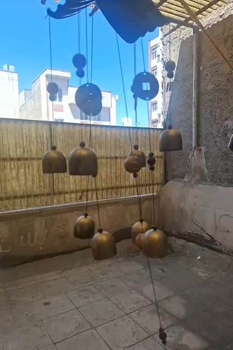 بادزنگ اصل با سکه ثروت اصل|صنایع دستی و سایر لوازم تزئینی|شهر ری, دیلمان|دیوار