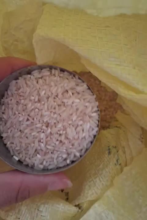 برنج عنبربو سیکان (فرهاد اباد)|خوردنی و آشامیدنی|دره شهر, |دیوار