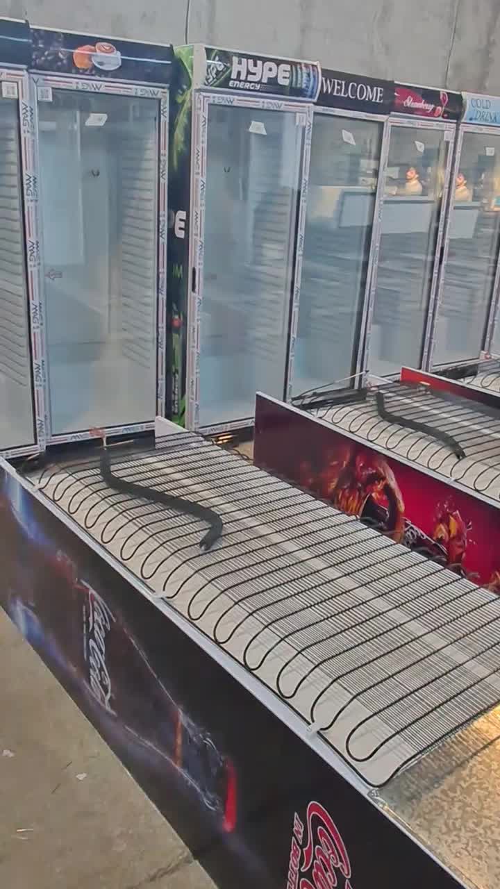 فروش یخچال ایستاده فروشگاه 70 سانتی|فروشگاه و مغازه|اندیمشک, |دیوار