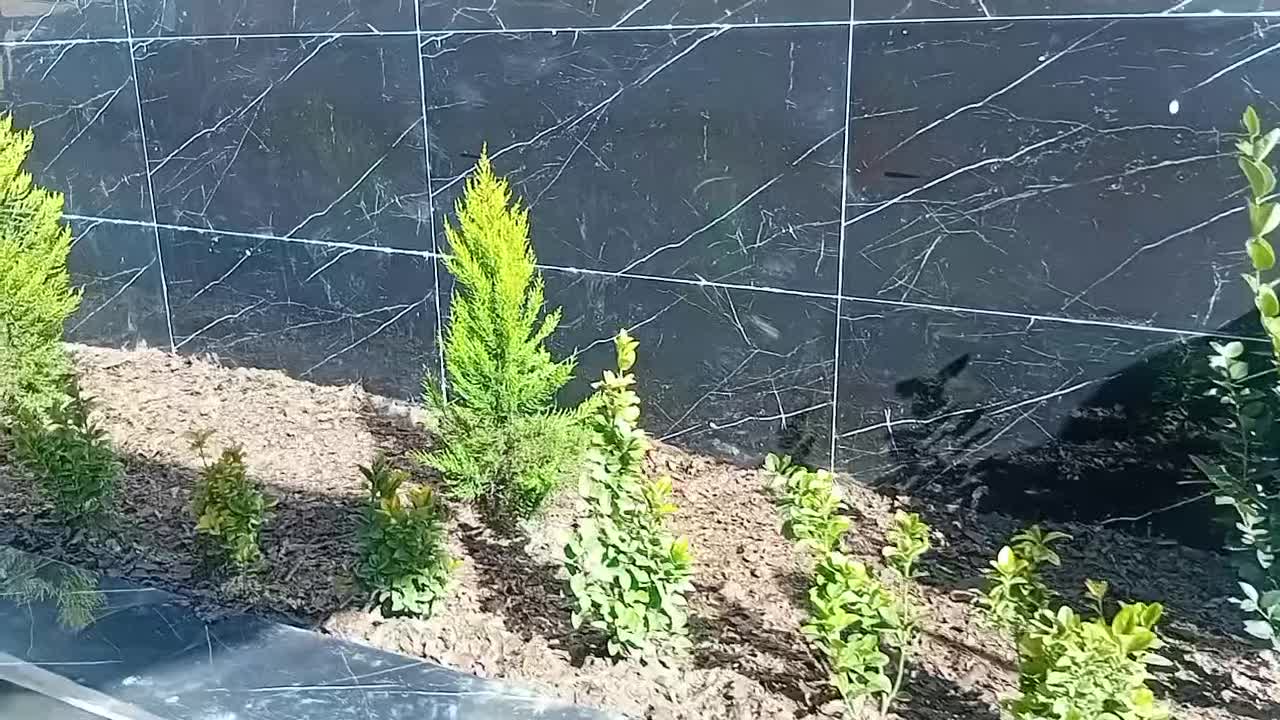 فضای سبز باغ ویلا|خدمات باغبانی و درختکاری|مرزیکلا, |دیوار