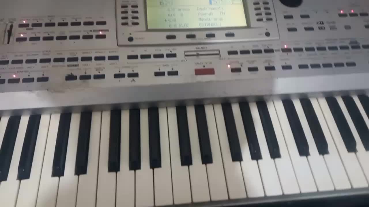 ارگ pa80|پیانو، کیبورد، آکاردئون|مرودشت, محمد آباد|دیوار