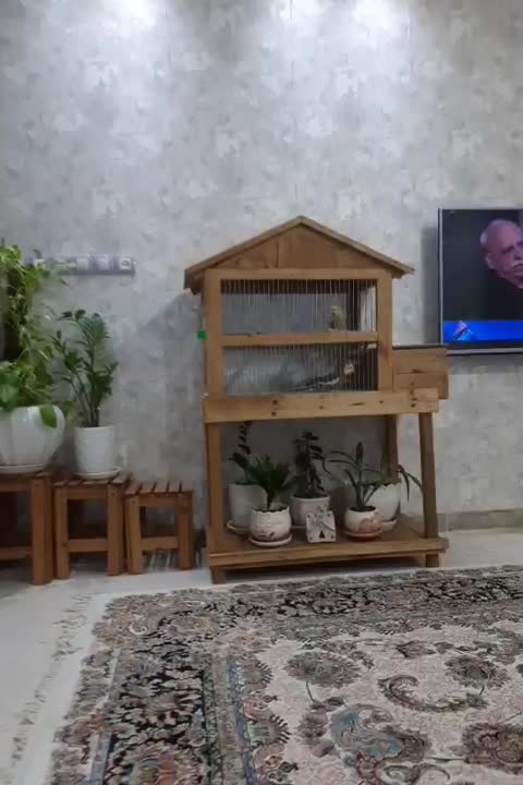 قفس|لوازم جانبی حیوانات|حمیدیا, |دیوار