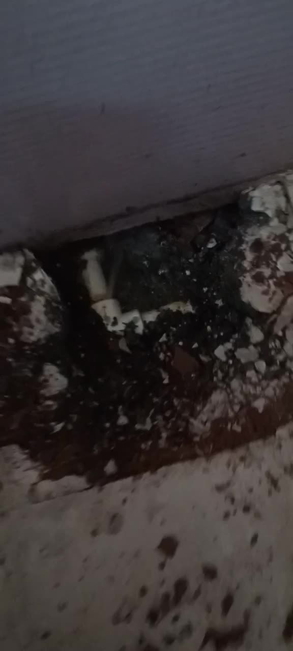 نشتیابی نشت یابی لوله بازکنی لوله کشی درتوحید|خدمات پیشه و مهارت|قم, بنیاد|دیوار