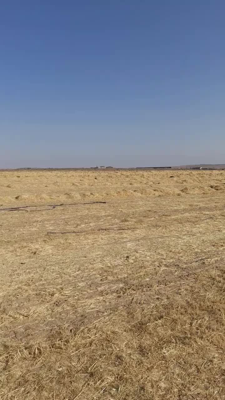 کاه‌فروشی|عمده‌فروشی|ملک‌آباد, |دیوار