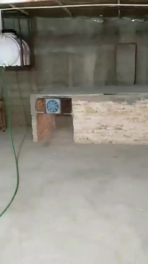 قفس مرغ|لوازم جانبی حیوانات|مشهد, کوی پلیس|دیوار