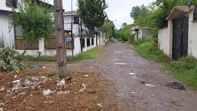 یک قطعه زمین|فروش زمین و ملک کلنگی|زیباکنار, |دیوار