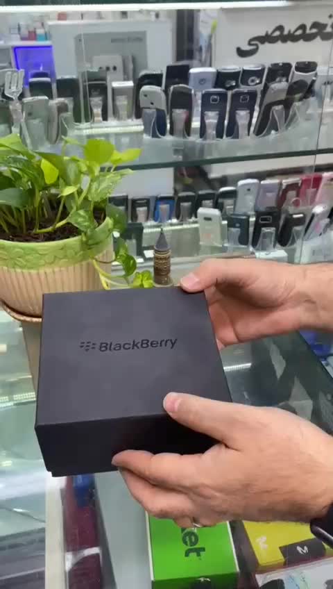 گوشی BLackBerry 9900 Bold کلکسیونی|موبایل|تهران, جمهوری|دیوار