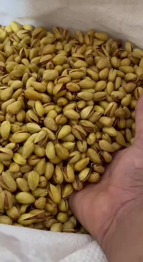 پسته مه ولات|خوردنی و آشامیدنی|مشهد, کوشش|دیوار