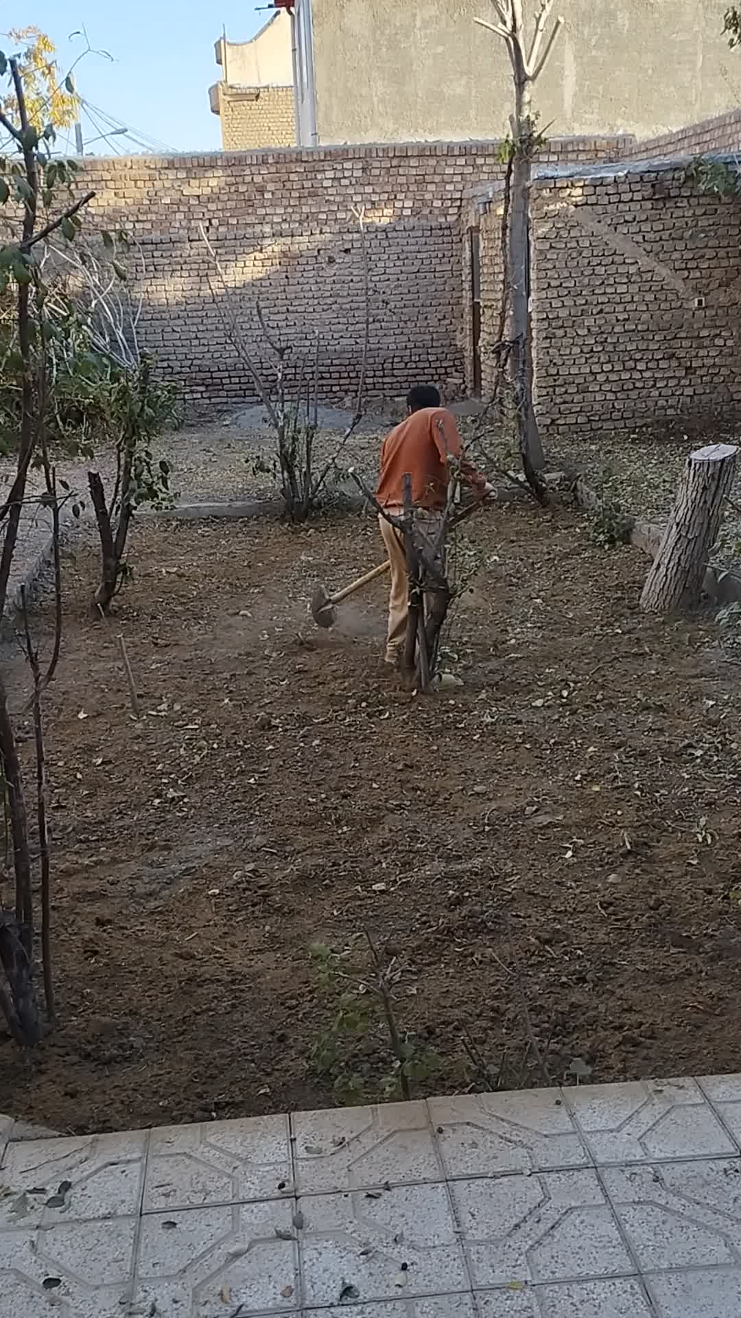 گل گیاه|خدمات باغبانی و درختکاری|نیشابور, پنجراه|دیوار