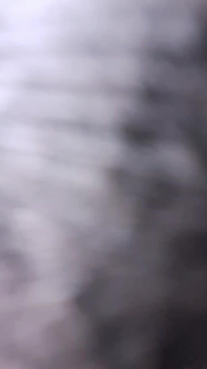 اجاره ویلایی دربستی بلوک ۵ توحید شهر|اجارهٔ خانه و ویلا|سبزوار, توحیدشهر|دیوار