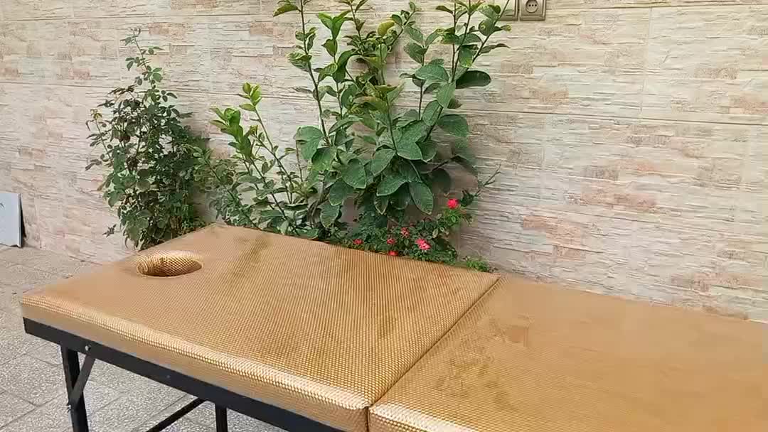 تخت پرتابل/تخت ماساژ/تخت چمدونی/تخت|آرایشی، بهداشتی، درمانی|قم, پردیسان|دیوار