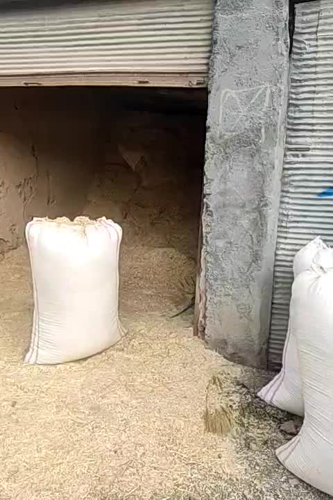 کاه|عمده‌فروشی|درب گنبد, |دیوار