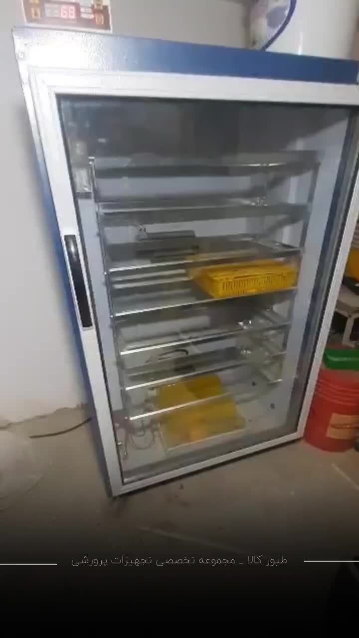 انواع دستگاه جوجه کشی|لوازم جانبی حیوانات|آمل, |دیوار