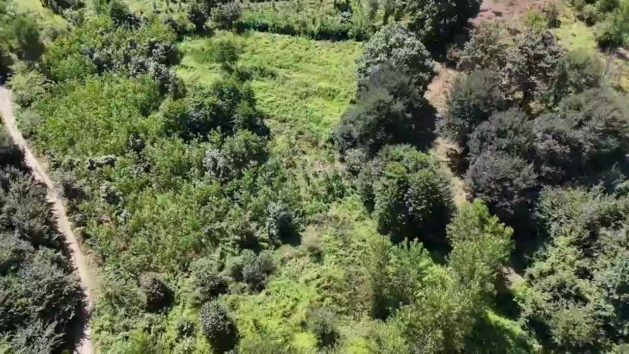 زمین ۲۲۰۰ متر ،کتشال بالا|فروش زمین و ملک کلنگی|لاهیجان, لیل|دیوار