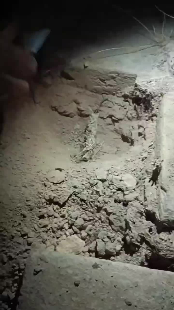 کتاب دعا سرکتاب هزینه ندارد کشف امراض ۲۳۰|کتاب و مجله مذهبی|مشهد, شهرک بهارستان|دیوار