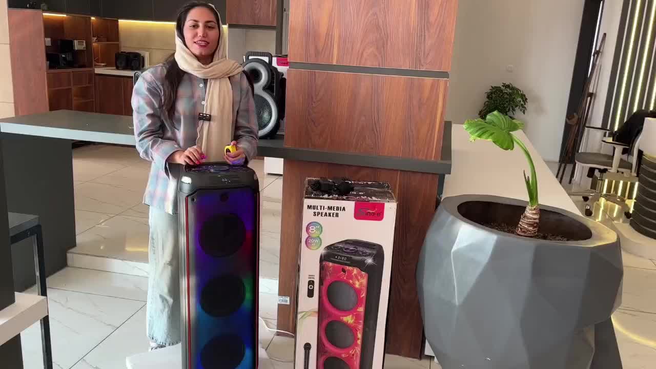 اسپیکر بلوتوثی چمدانی بزرگ|سیستم صوتی خانگی|نهاوند, |دیوار