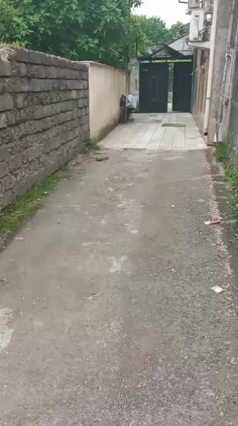 خونه باغ نقلی|فروش خانه و ویلا|رشت, جانبازان|دیوار