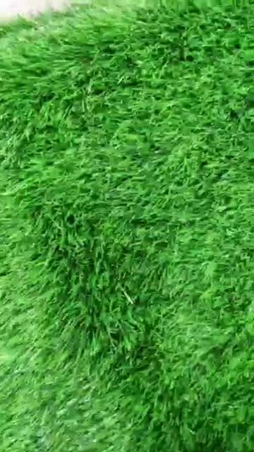 دکوراسیون داخلی|فروشگاه و مغازه|آباده, |دیوار