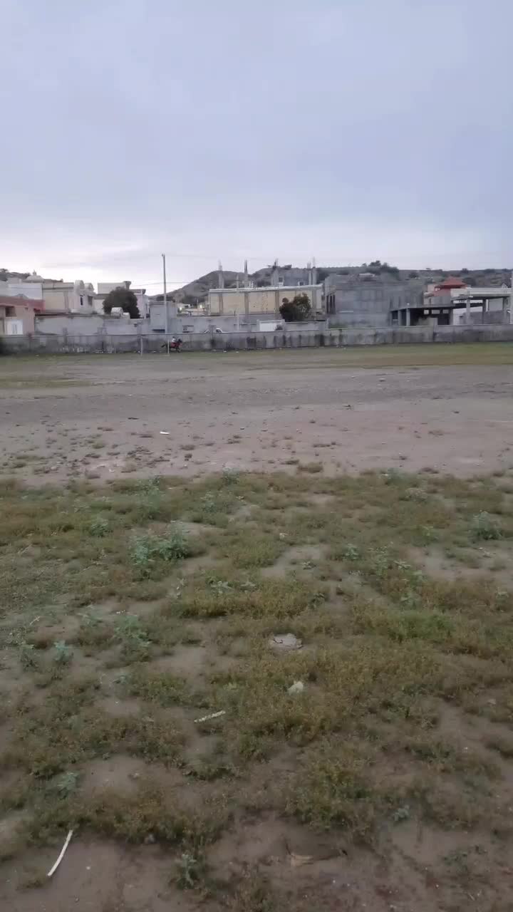 اسب|اسب و تجهیزات اسب‌سواری|میناب, |دیوار