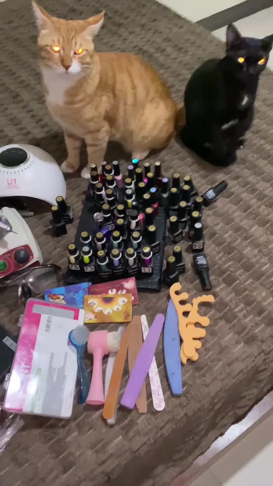 فروش فوری وسایل کامل کاشت ناخن|آرایشگاه و سالنهای زیبایی|پرند, فاز ۶|دیوار