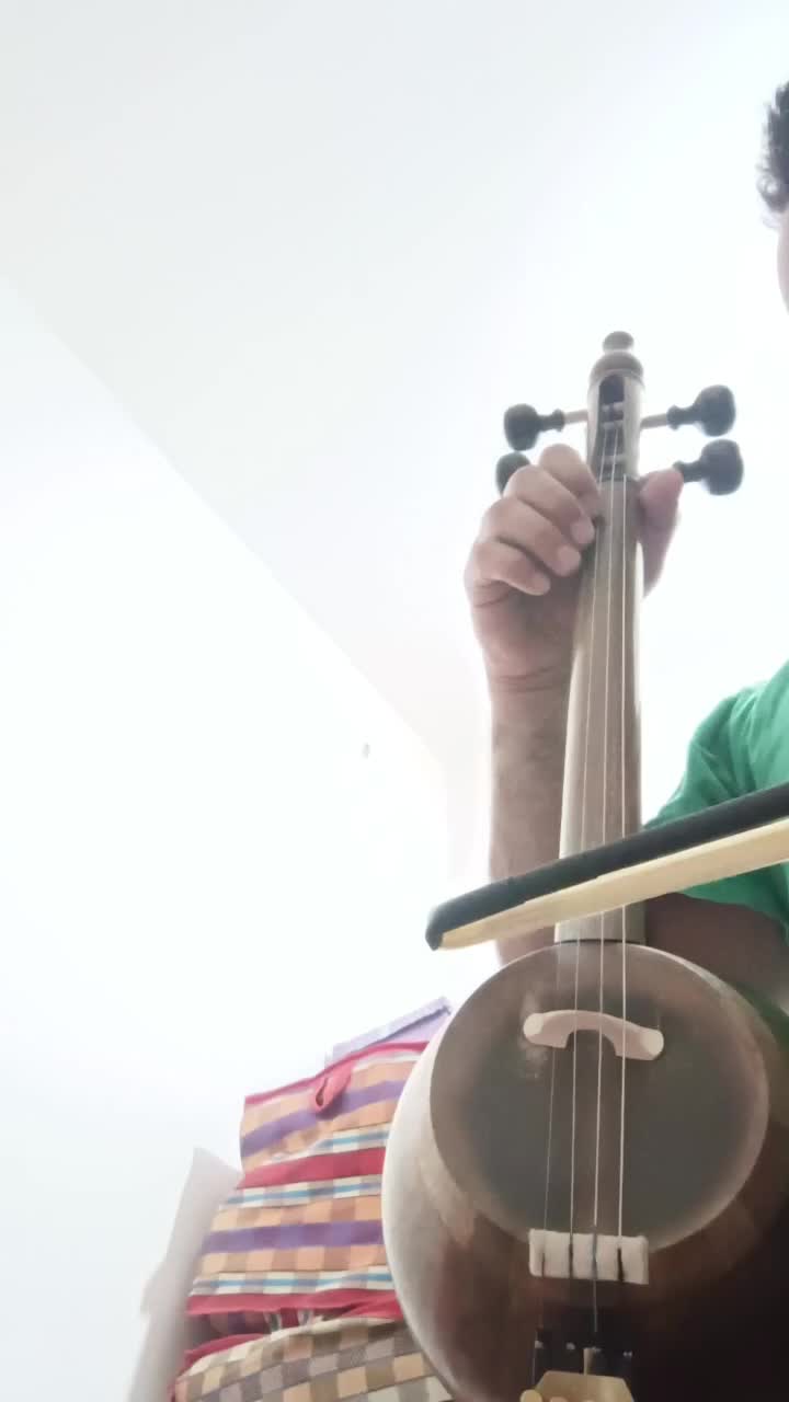 کمانچه حرفه ای|سازهای سنتی|دهلران, |دیوار