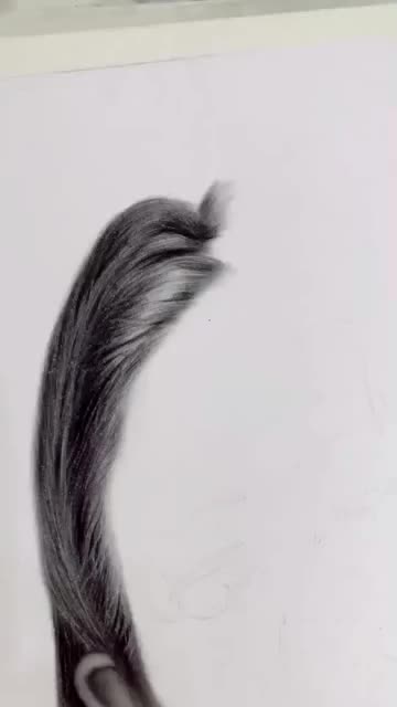 سفارش سیاه قلم هایپرئال|تابلو، نقاشی، عکس|تهران, زعفرانیه|دیوار