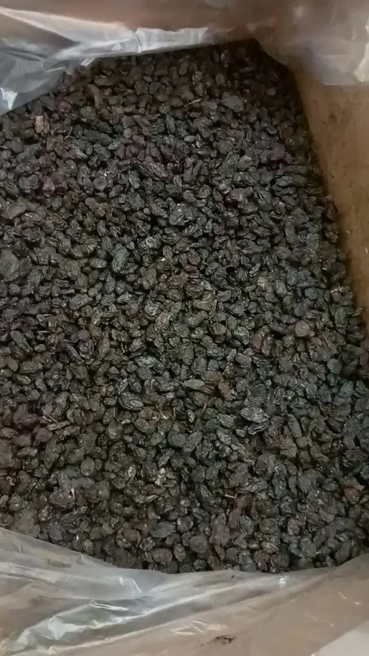 کشمش|خوردنی و آشامیدنی|مهاباد (آذربایجان غربی), |دیوار