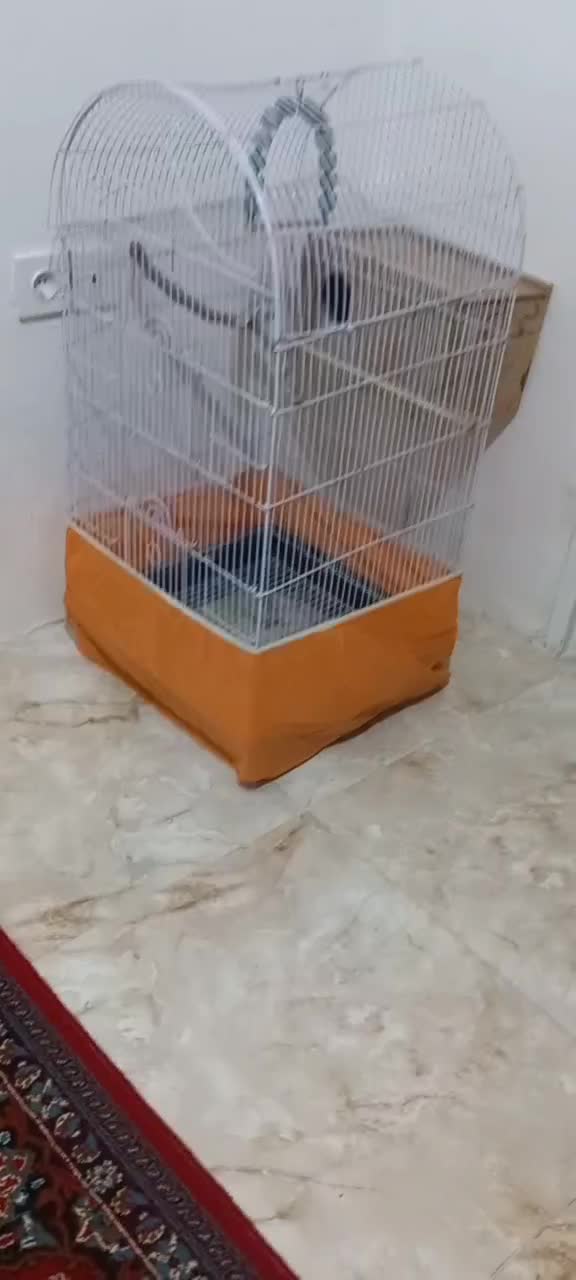 قفس|لوازم جانبی حیوانات|محمدیه-قزوین, |دیوار