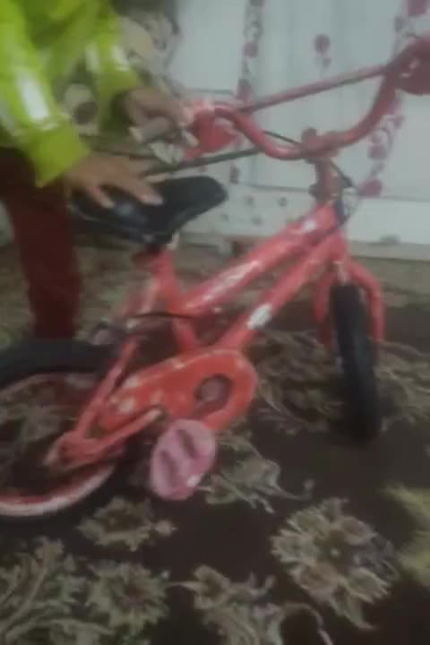 دوچرخه|دوچرخه، اسکیت، اسکوتر|کوهمره, |دیوار