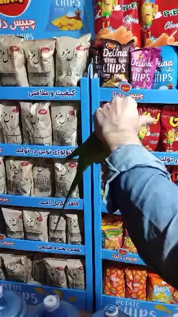 جوجه ملنگو نر فندق سخنگو رام دستی باهوش بازیگوش|پرنده|تهران, سلسبیل شمالی|دیوار