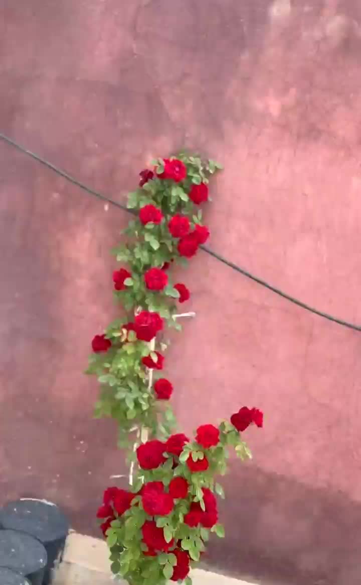 ویلای لوکس در صوفیان|فروش خانه و ویلا|تبریز, |دیوار