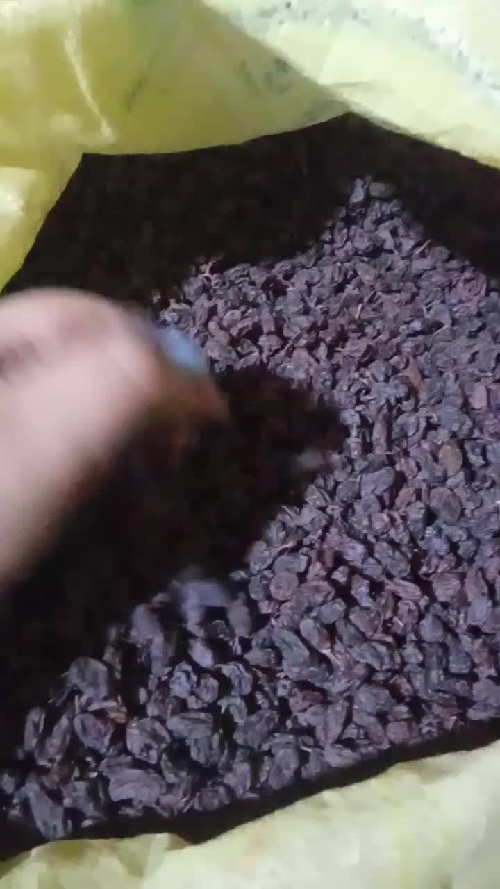 کشمش درجه یک|خوردنی و آشامیدنی|ارومیه, |دیوار