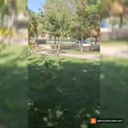 فروش آپارتمان ۵۰ متری ۱ خوابه همکف در رستگاری|فروش آپارتمان|مشهد, حجاب (شهرک غرب)|دیوار