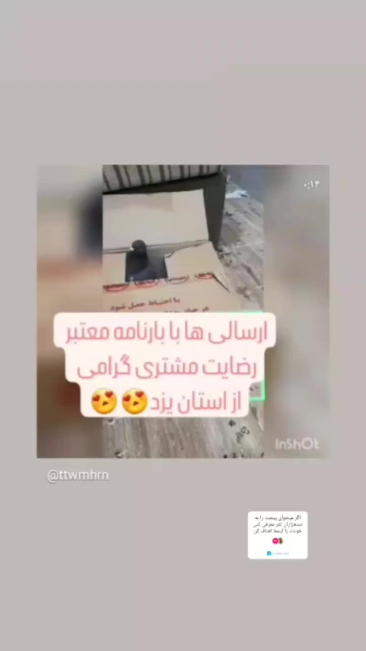 کفتر پرشی  چهارجفت|پرنده|کاشان, فرودگاه کاشان|دیوار