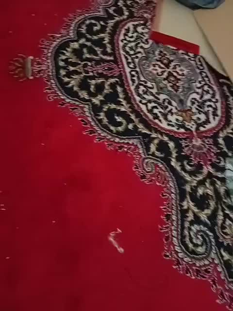 فرش|فرش|شیراز, شهرک والفجر|دیوار