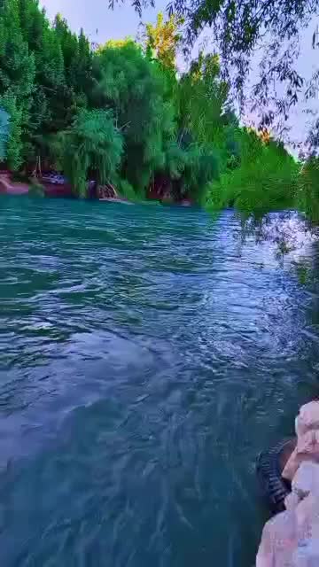 اجاره ویلا لب آب استخردارجنگلی|اجارهٔ کوتاه‌مدت ویلا و باغ|لنجان, |دیوار