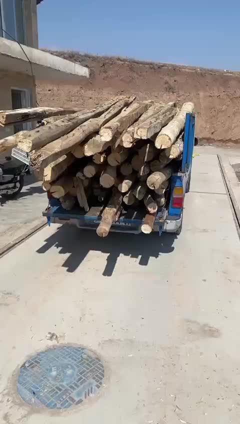 خرید چوب خشک سقفی و ضایعات باغی با بالاترین قیمت|خدمات باغبانی و درختکاری|زنجان, |دیوار