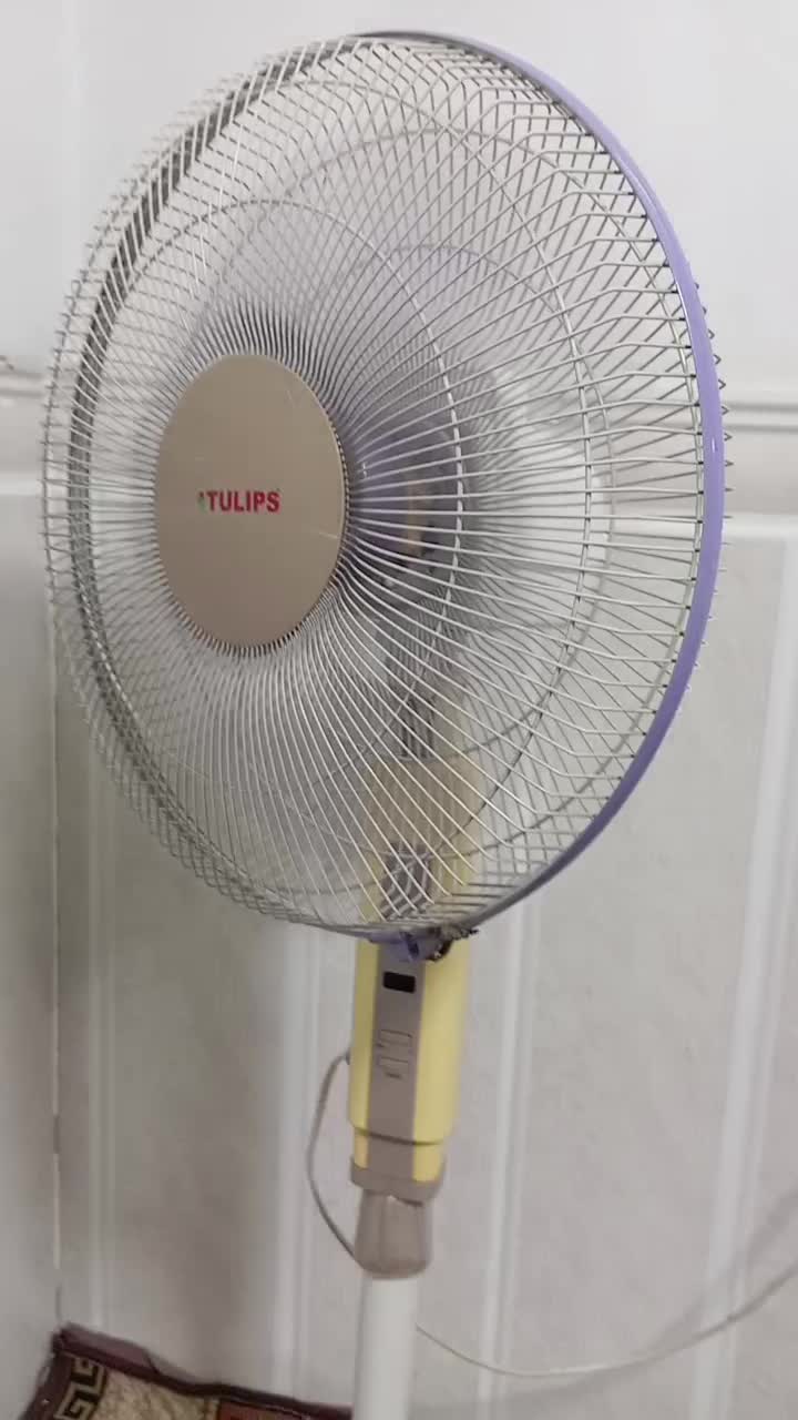 پنکه ایستاده|پنکه و تصفیهکنندهٔ هوا|قرچک, محمد آباد|دیوار