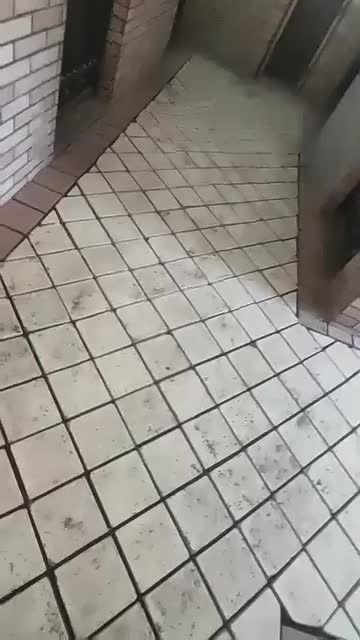 کاشی کاری و سرامیک|خدمات پیشه و مهارت|زیباشهر, |دیوار