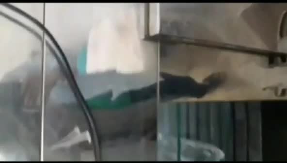 یخچال|فروشگاه و مغازه|لنده, |دیوار