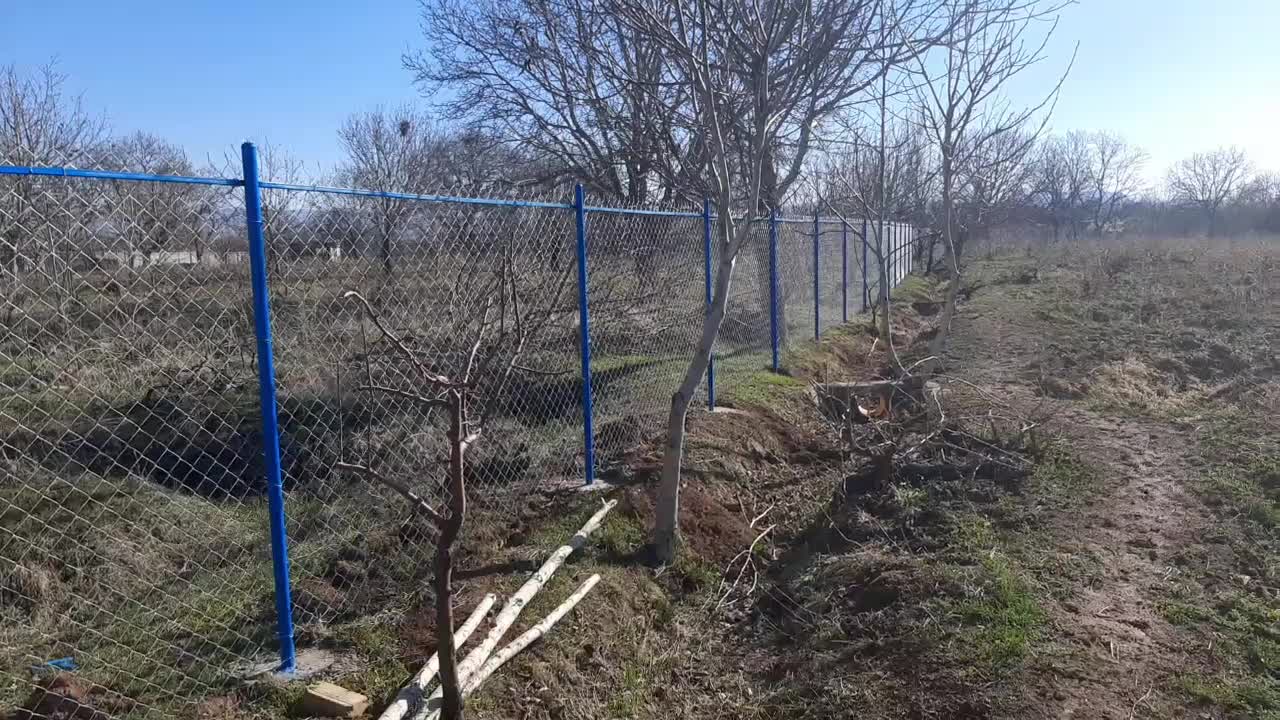 اجرای فنس باغ و استخر|خدمات باغبانی و درختکاری|ابهر, |دیوار