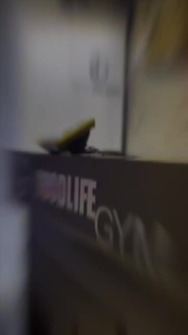 با زیر ۹۰۰میلیون باشگاهتو تجهیز کن|تجهیزات ورزشی|تهران, تهرانسر شرقی|دیوار