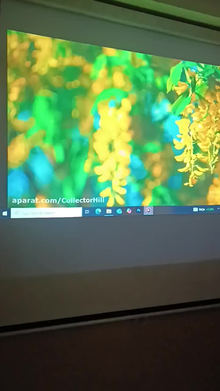 فروش فوری ویدئو پروژکتور استوک اروپایی|تلویزیون و پروژکتور|تهران, کاج|دیوار