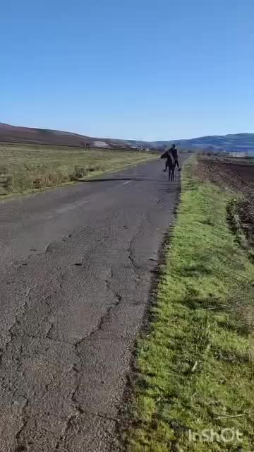 اسب|اسب و تجهیزات اسب‌سواری|گرمی, |دیوار