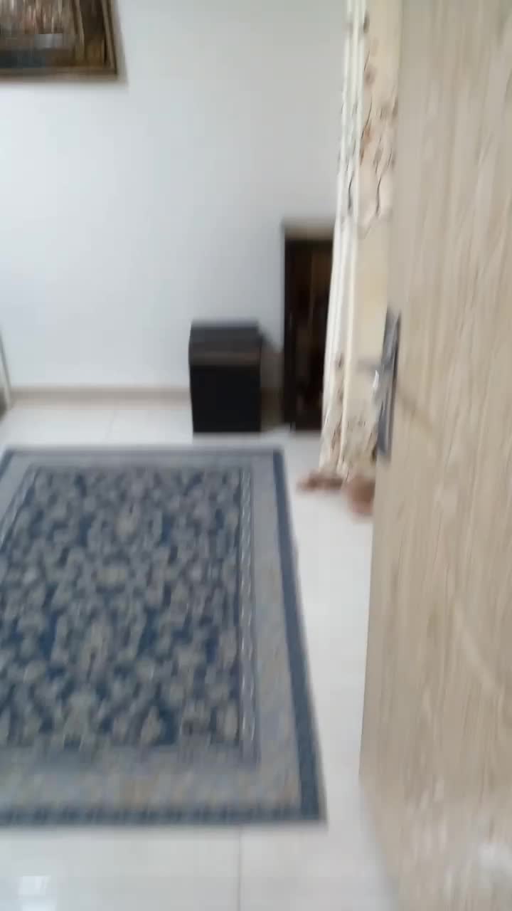 ویلاباغ ابتداجاده تالش آستارا براتوبان ویوجنگل|اجارهٔ کوتاه‌مدت ویلا و باغ|تالش, جوکندان|دیوار