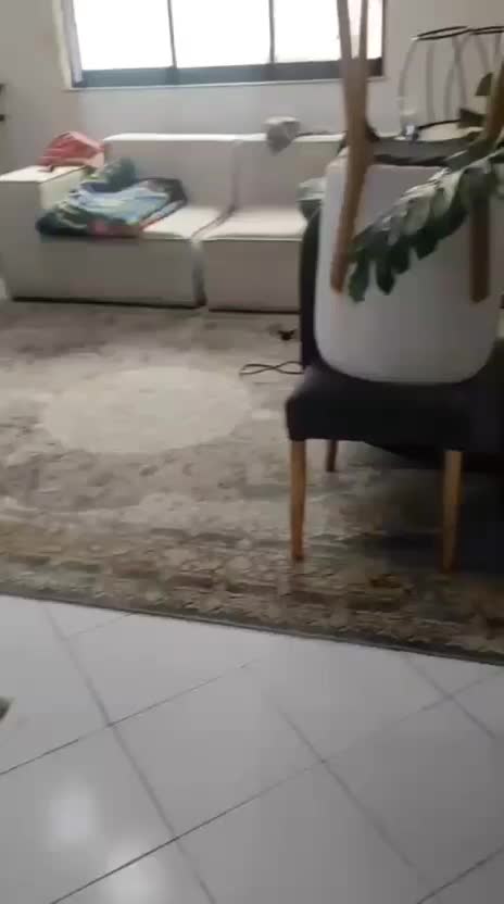 اجاره واحد ۲خوابه آپارتمانی|اجارهٔ آپارتمان|رشت, دیلمان|دیوار