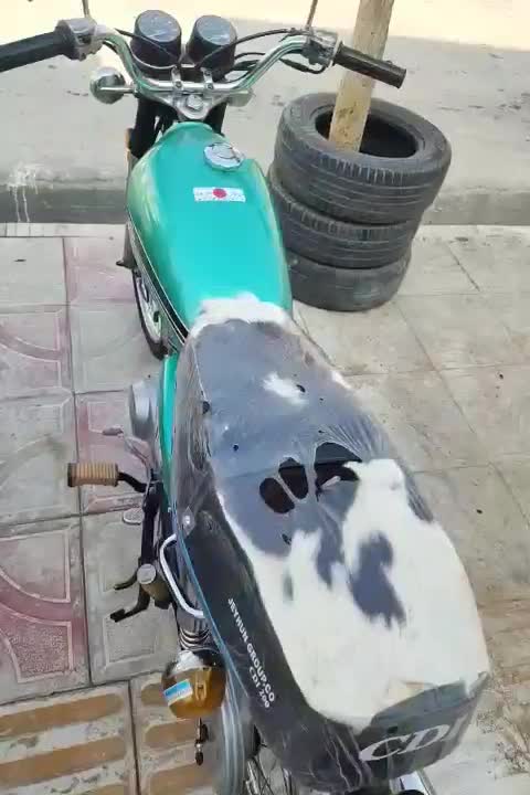 سی جی ژاپن درحد|موتورسیکلت|سیمین شهر, |دیوار