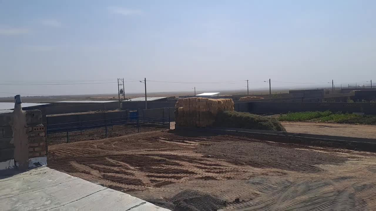 گاوداری فروشی/مجتمع نسیم/فول امکانات|فروش دفتر صنعتی، کشاورزی، تجاری|تربت جام, میان جام|دیوار