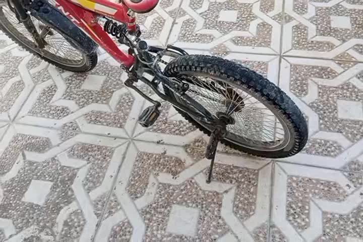 دوچرخه 20|دوچرخه، اسکیت، اسکوتر|برازجان, |دیوار