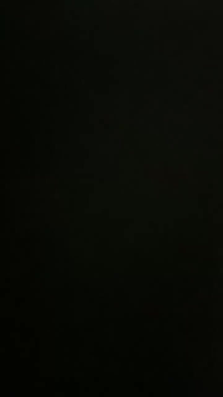 اکواریوم پلنت گیاهی|ماهی|تبریز, |دیوار